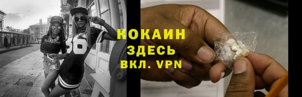 гидра Горно-Алтайск