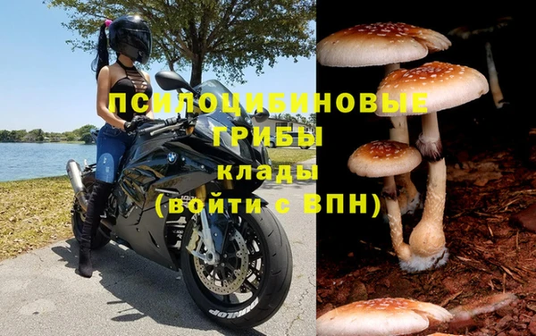 героин Горняк