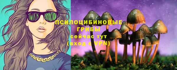гидра Горно-Алтайск