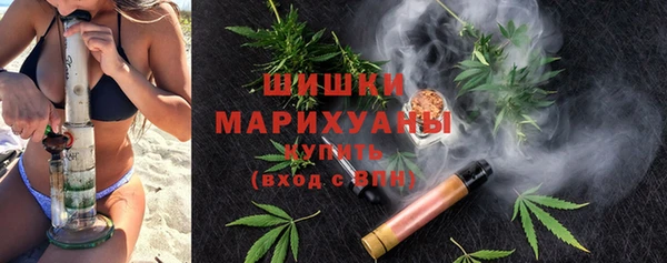 гидра Горно-Алтайск