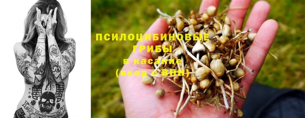 героин Горняк