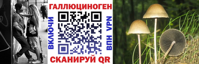 Галлюциногенные грибы Psilocybine cubensis  Малмыж 