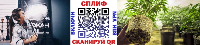 Каннабис OG Kush  закладки  Малмыж 
